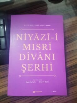 Niyazi-i Mısri Divanı Şerhi